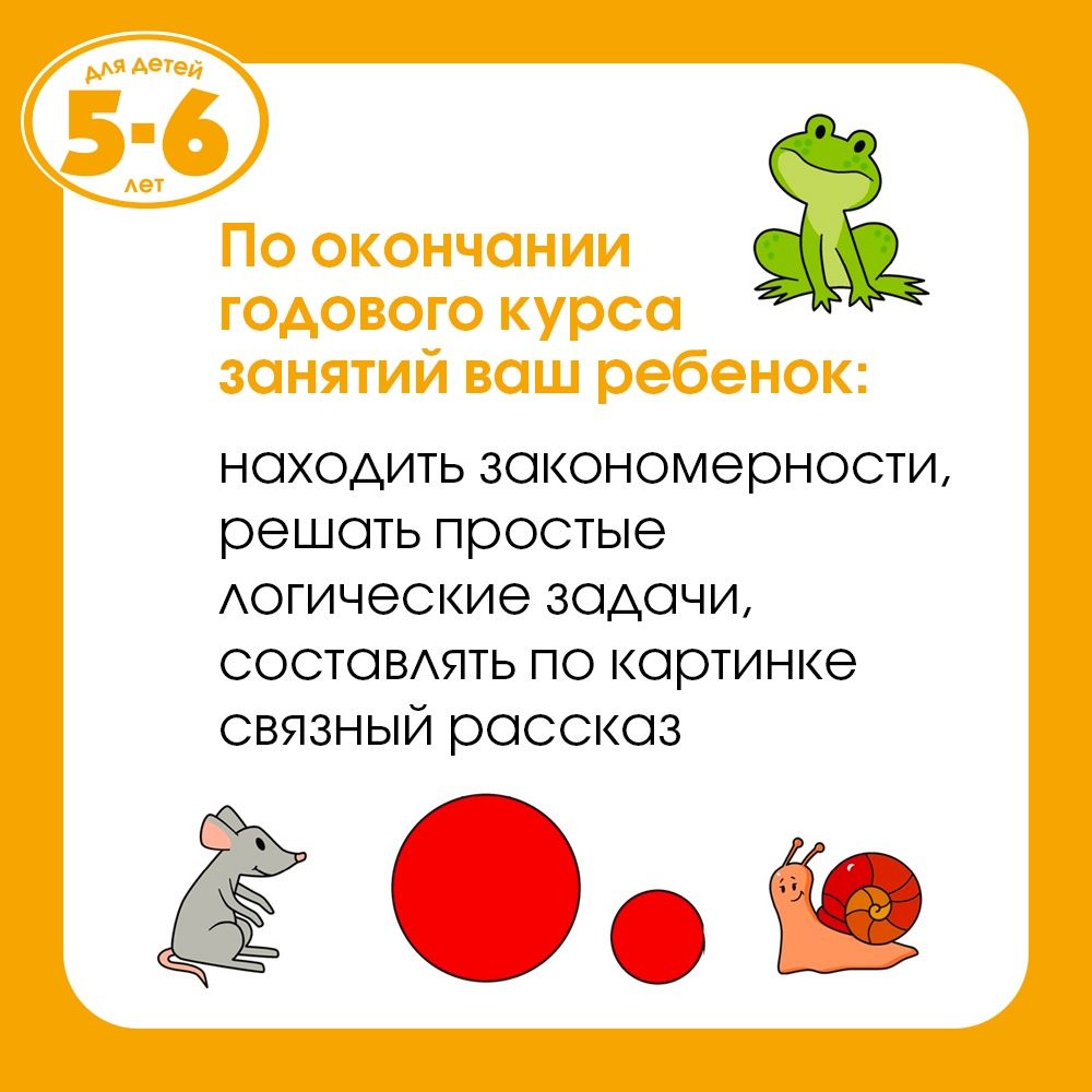 Грамотейка. Интеллектуальное развитие детей 5-6 лет | Reference Book - Ozon image 3