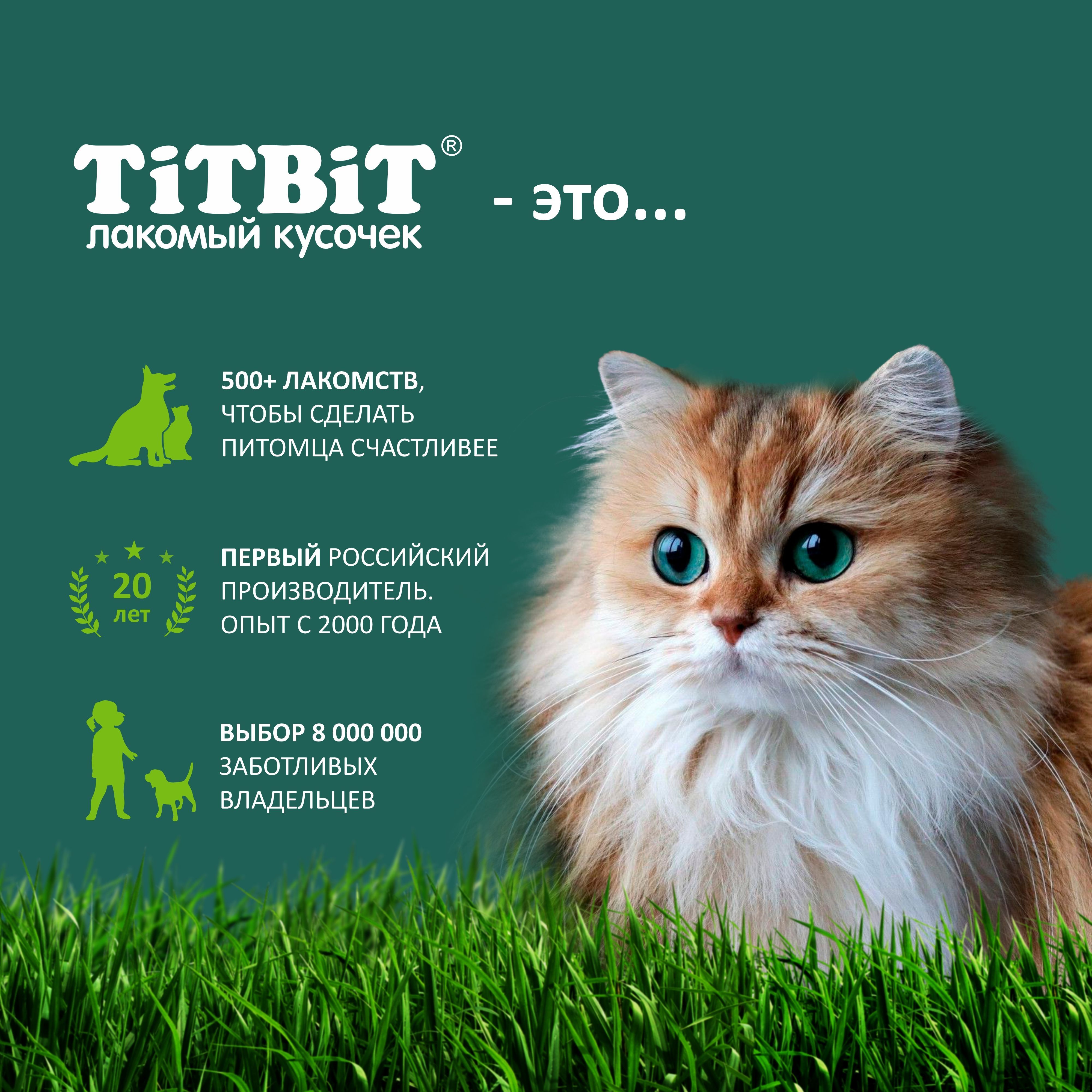 Лакомство для кошек TiTBiT Крем-суп с кусочками лосося, 10г х 16 шт ...