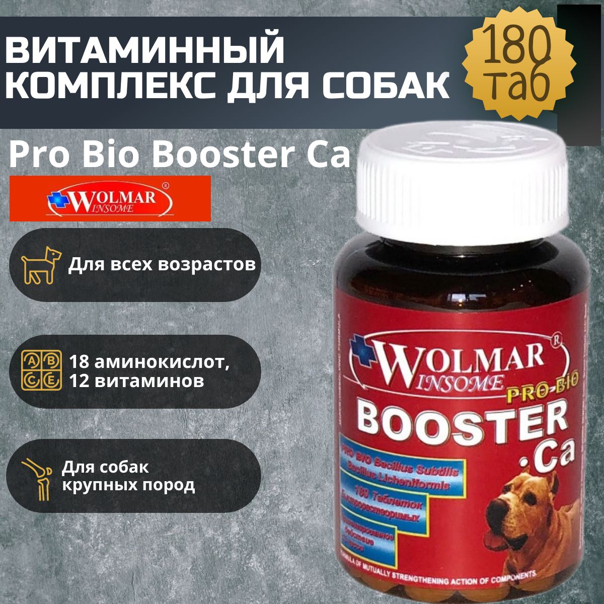 Витаминный комплекс Wolmar Winsome Pro Bio Booster Ca для собак крупных  пород с кальцием 180 таб. - купить с доставкой по выгодным ценам в  интернет-магазине OZON (242276691)