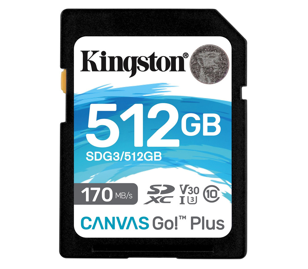 Карта памяти canvas select plus 256 гб. Карта памяти SDXC UHS-I u3 Kingston 64гб. Kingston Canvas go Plus 128 ГБ. Kingston Canvas go! Plus MICROSD. Карта памяти 128 ГБ Kingston Canvas SDHC 10 class.