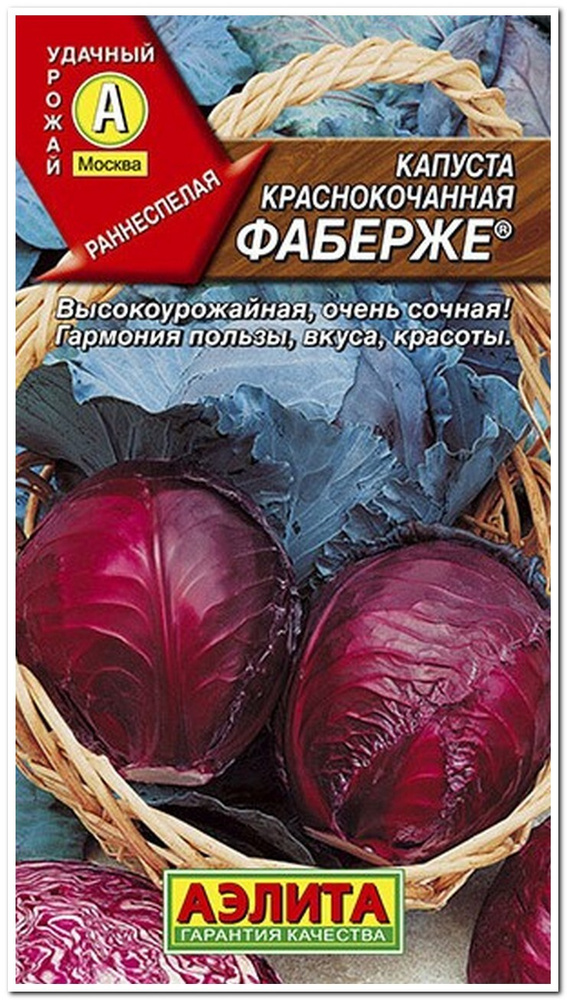 Капуста краснокочанная Фаберже, раннеспелая 100 дней #1