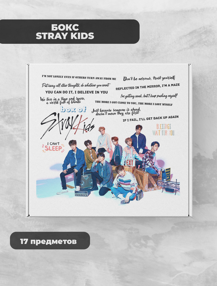 K-Pop Stray Kids подарочный фандомный К-Поп бокс #1