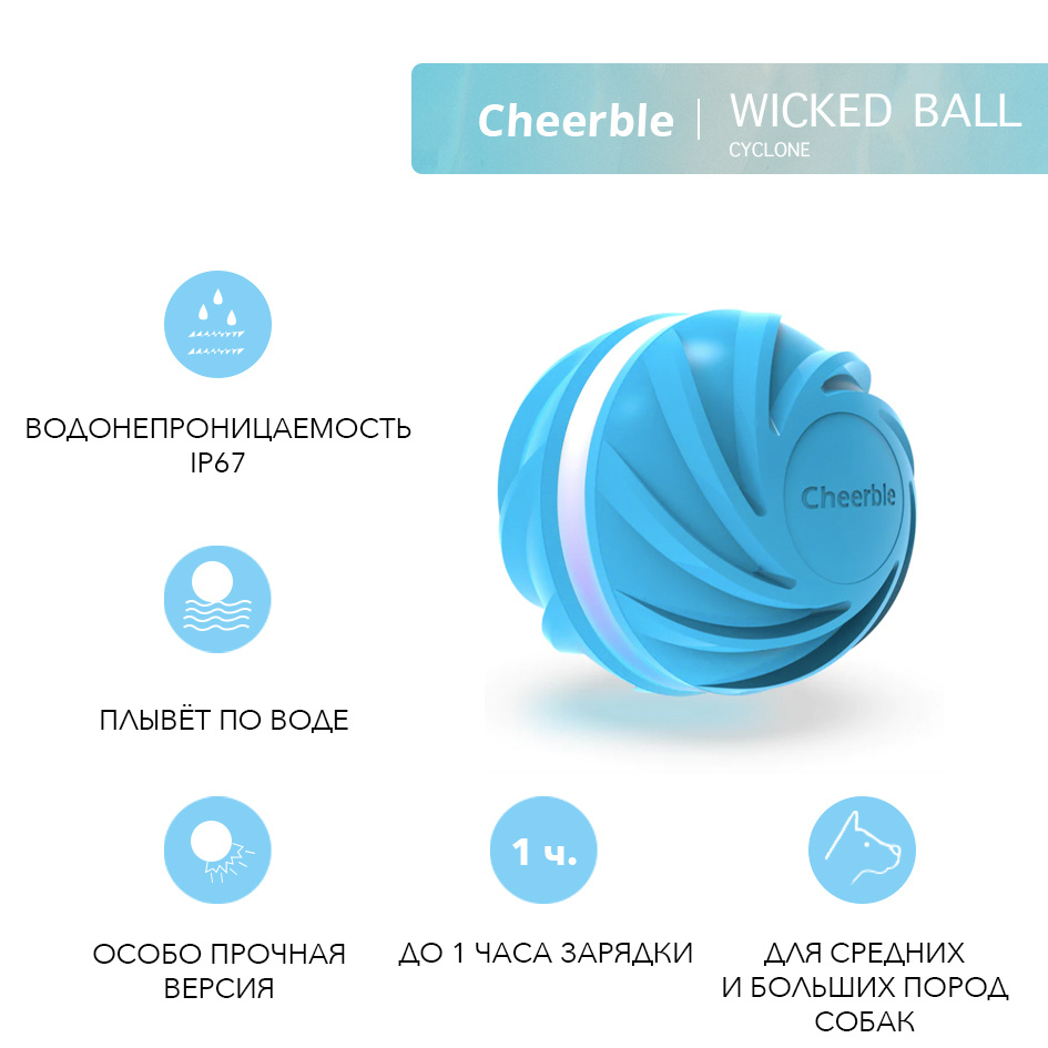 Wicked ball sale cheerble