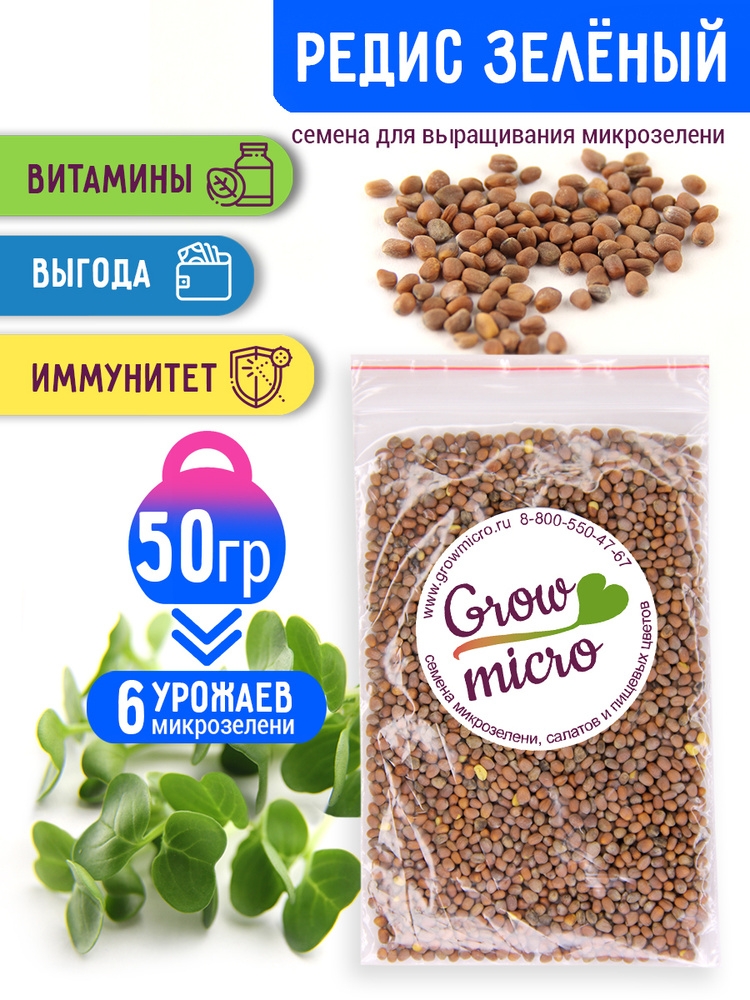 Редис зеленый семена микрозелени для проращивания 50 г - купить с доставкойпо выгодным ценам в интернет-магазине OZON (264497022)