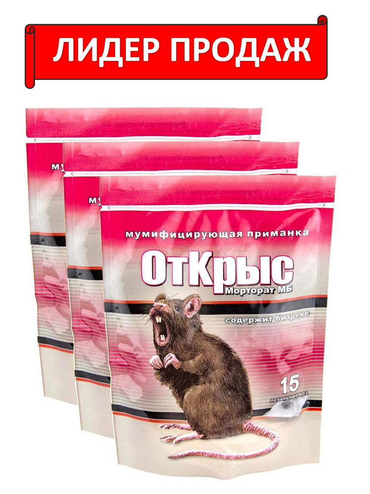 Уничтожение крыс | Обработка от Крыс | Дезинфекция от Крыс