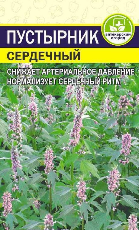 Пустырник Сердечный #1