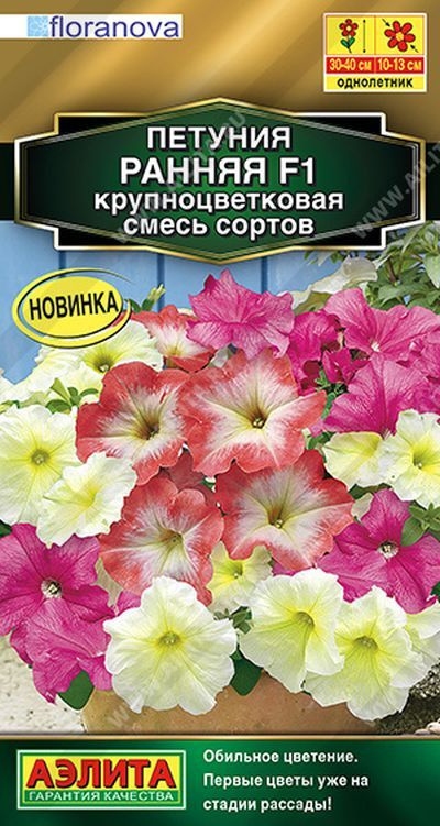 АЭлита Семена #1