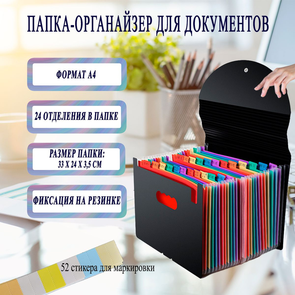 Папка-органайзер для хранения документов А4, папка канцелярская, 24 файла,  разноцветная. CoCaCeO - купить с доставкой по выгодным ценам в  интернет-магазине OZON (758304279)