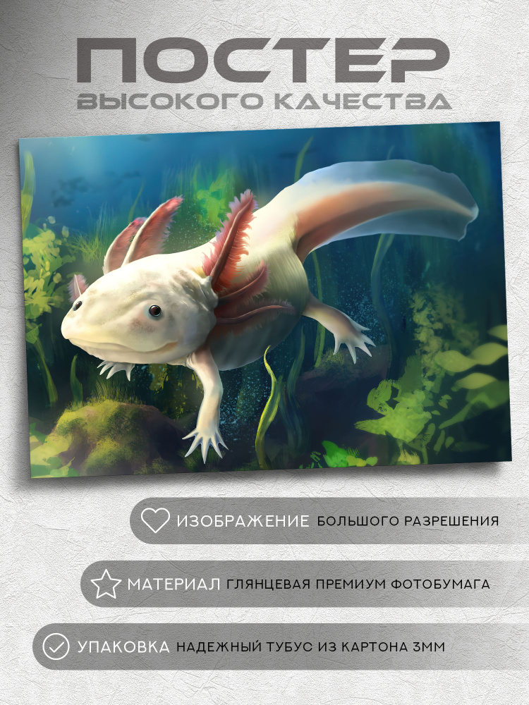 Постер Аксолотль #1