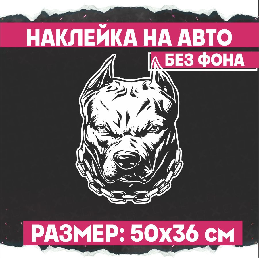 Наклейки на авто на стекло Питбуль - купить по выгодным ценам в  интернет-магазине OZON (775323474)