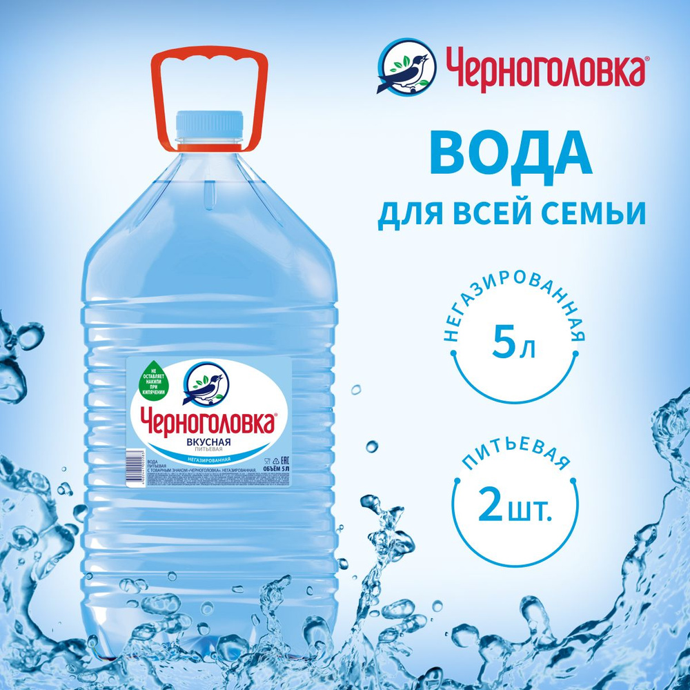 Черноголовка Вода Питьевая Негазированная 5000мл. 2шт - купить с доставкой  по выгодным ценам в интернет-магазине OZON (1073865569)