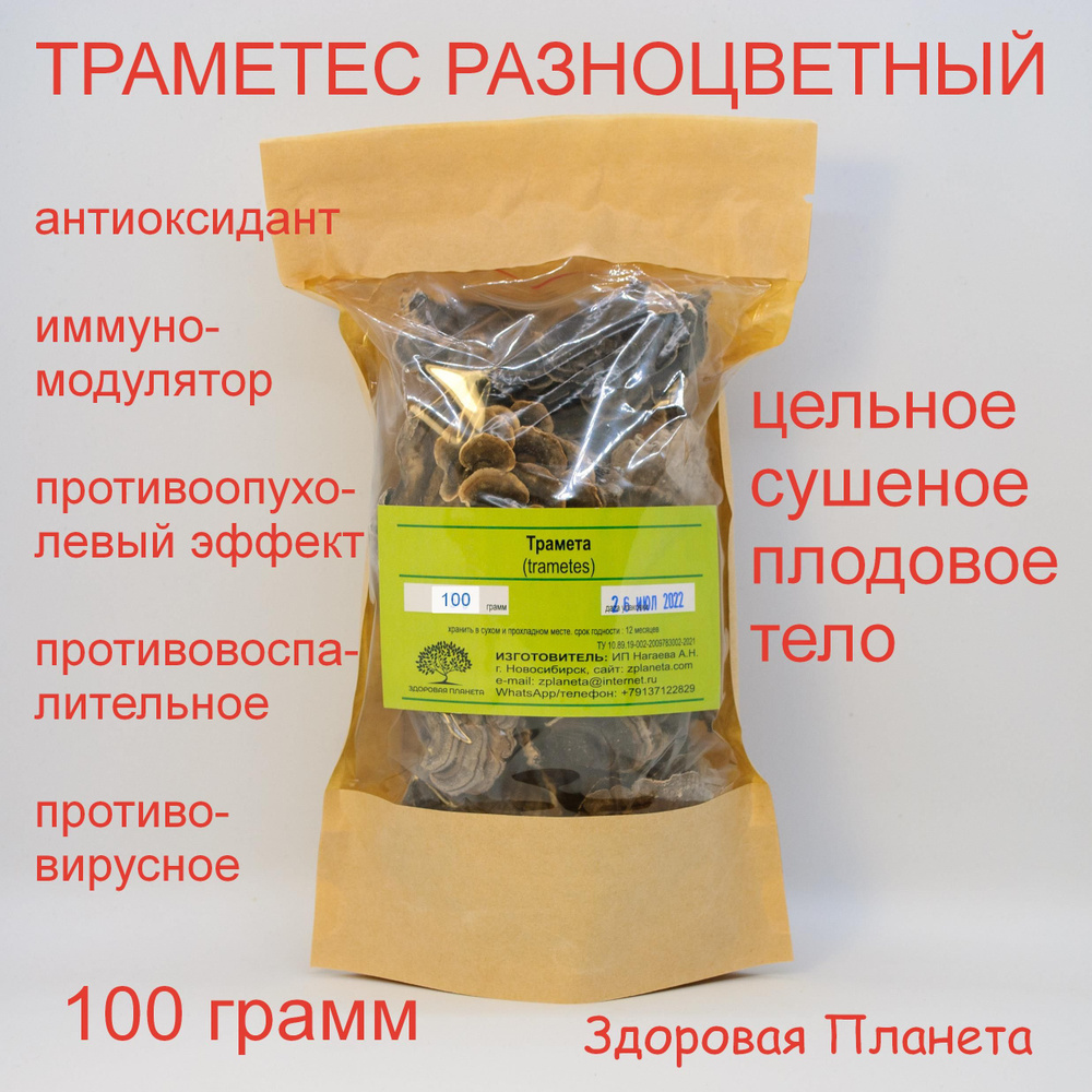 Траметес разноцветный (трамета) 100 грамм - купить с доставкой по ...