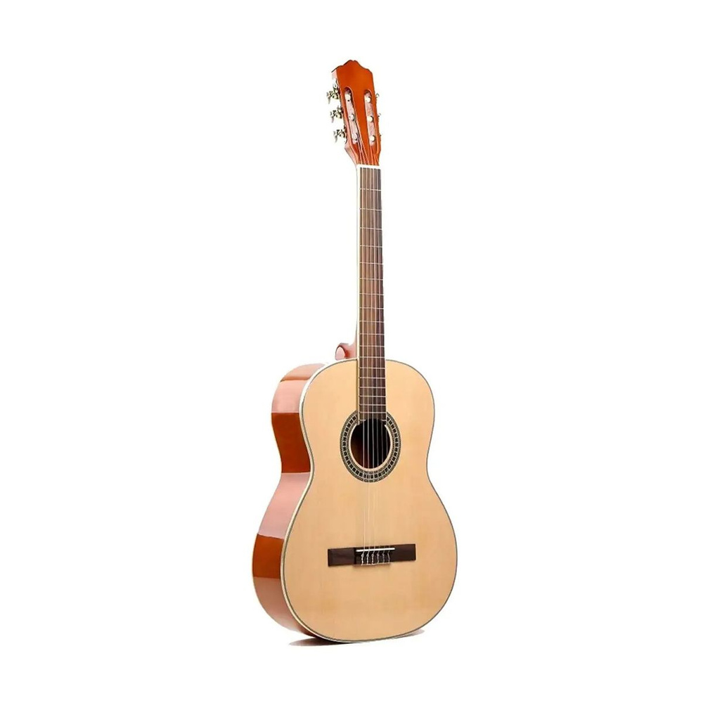 Deviser L-310 N Гитара классическая #1