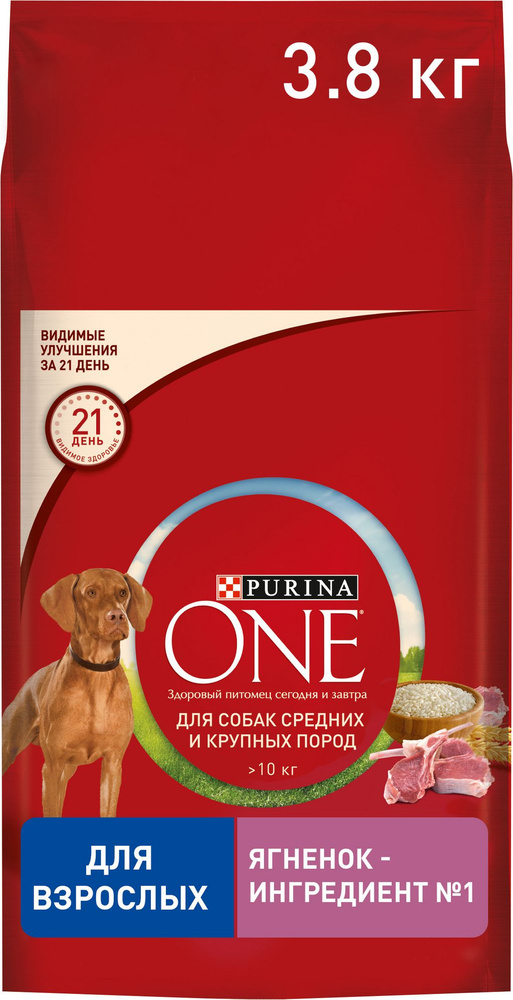 Сухой корм для собак Purina ONE для средних и крупных пород, с ягненком ...