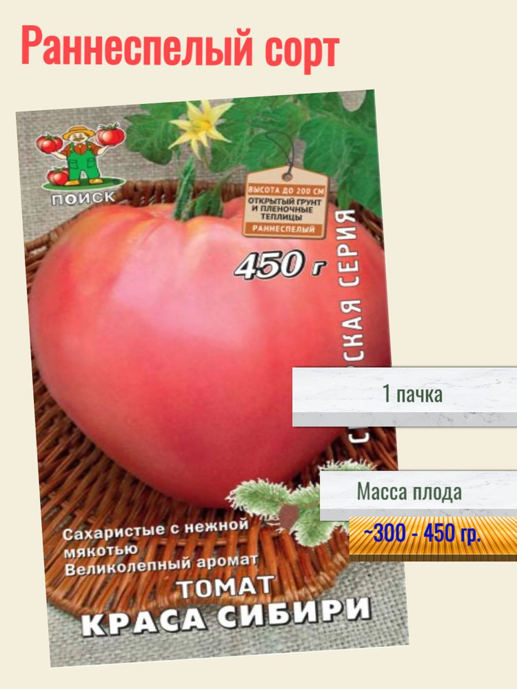 Краса сибири томат описание фото
