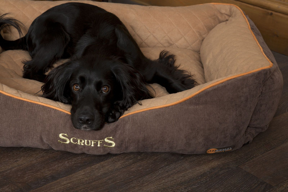 Scruffs thermal dog sales bed