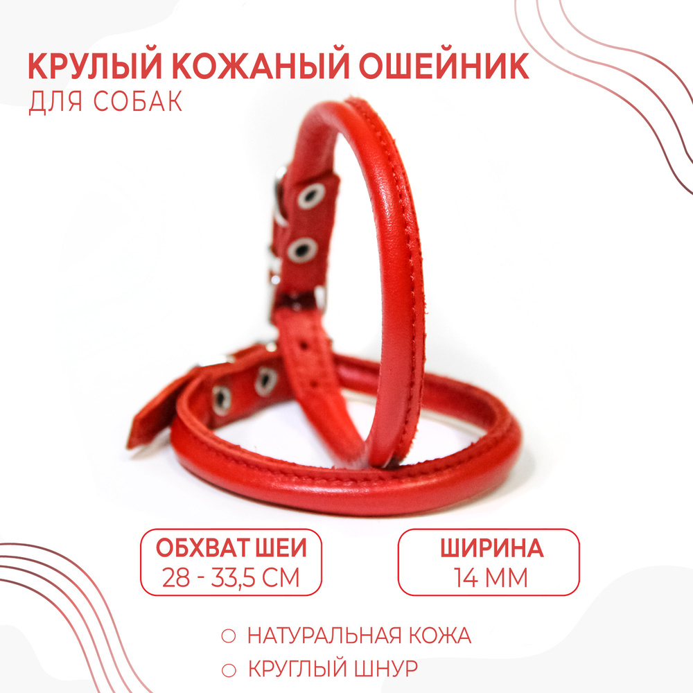 Круглый кожаный ошейник (обхват шеи 28-33,5 см.)для маленьких пород собак с пушистой шерстью / Красный #1