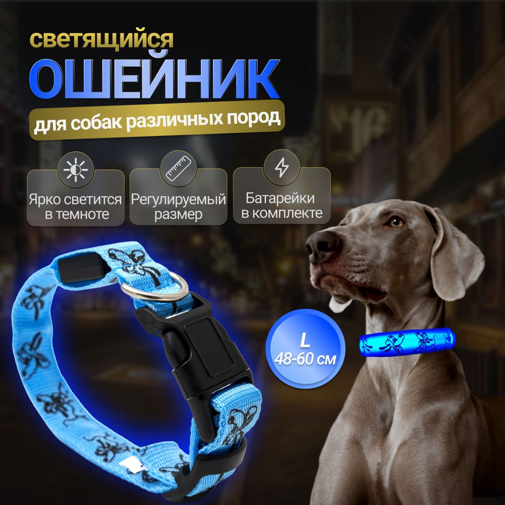 Светящийся LED ошейник для собак Tekkery Light Up