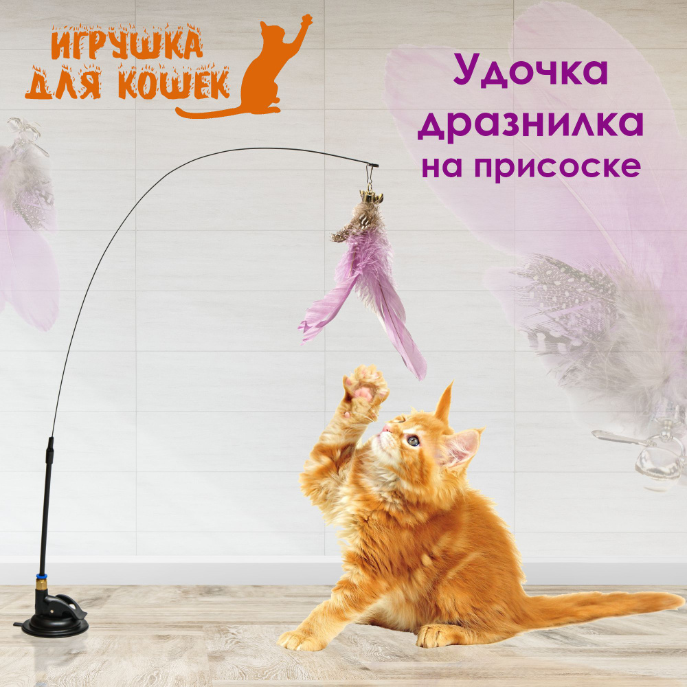 Игрушка для кошек / Удочка дразнилка на присоске / Игрушка для котят,  удочка на присоске с насадкой из перьев - купить с доставкой по выгодным  ценам в интернет-магазине OZON (803713795)