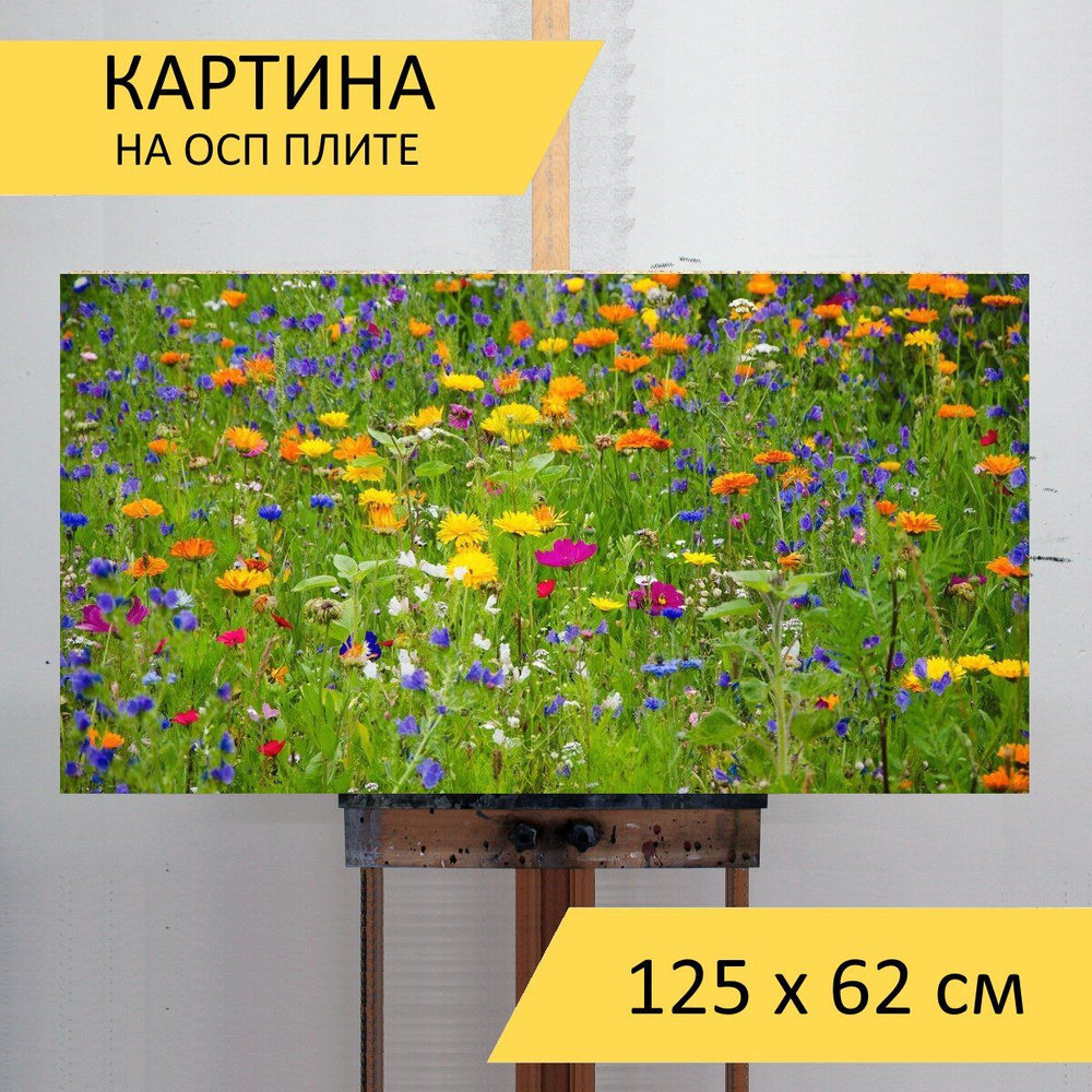 Картина на ОСП Цветочный луг, полевые цветы, луговые цветы, 125 x 62 см -  купить по низкой цене в интернет-магазине OZON (855138196)