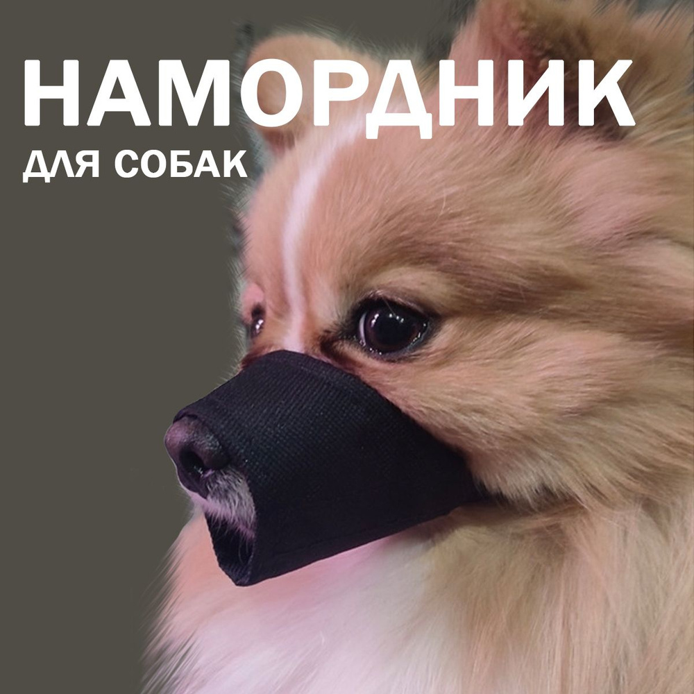 Намордники для собак