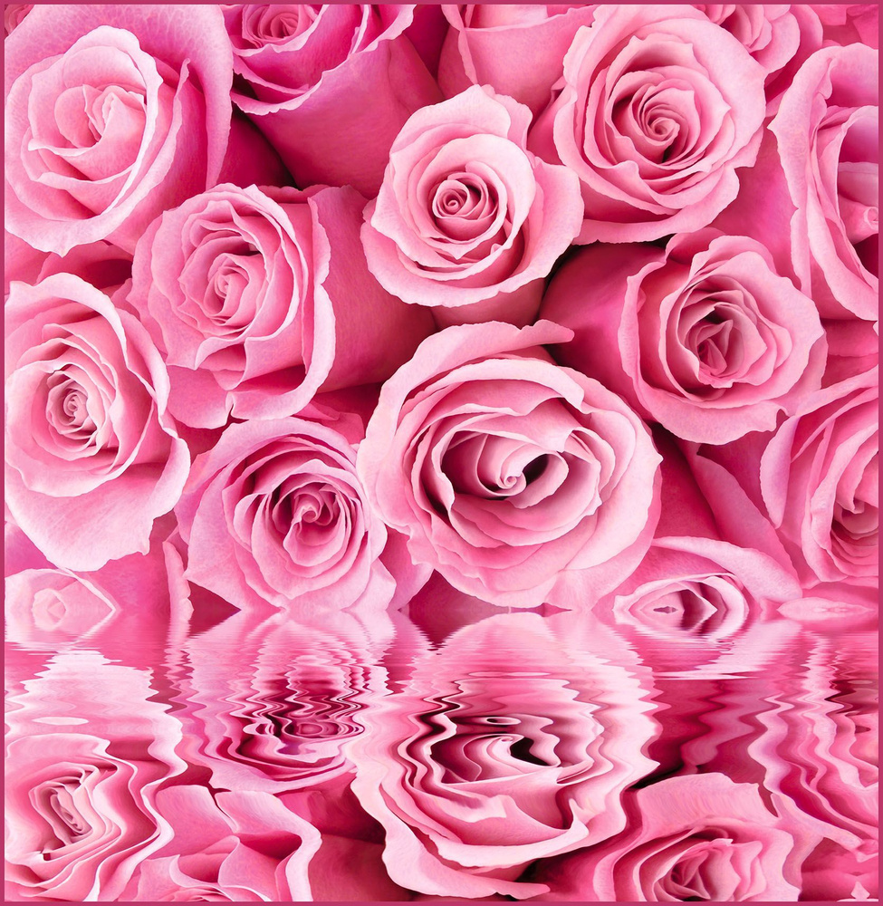 Фотообои Vostorg № 235 Розовые розы 196х201см #1