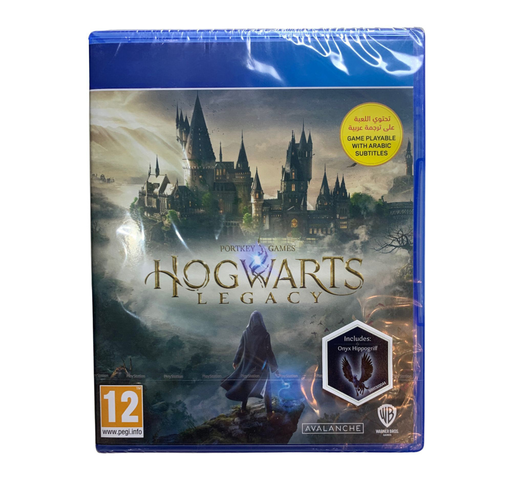 Hogwarts legacy deluxe edition ps4 купить фото 55