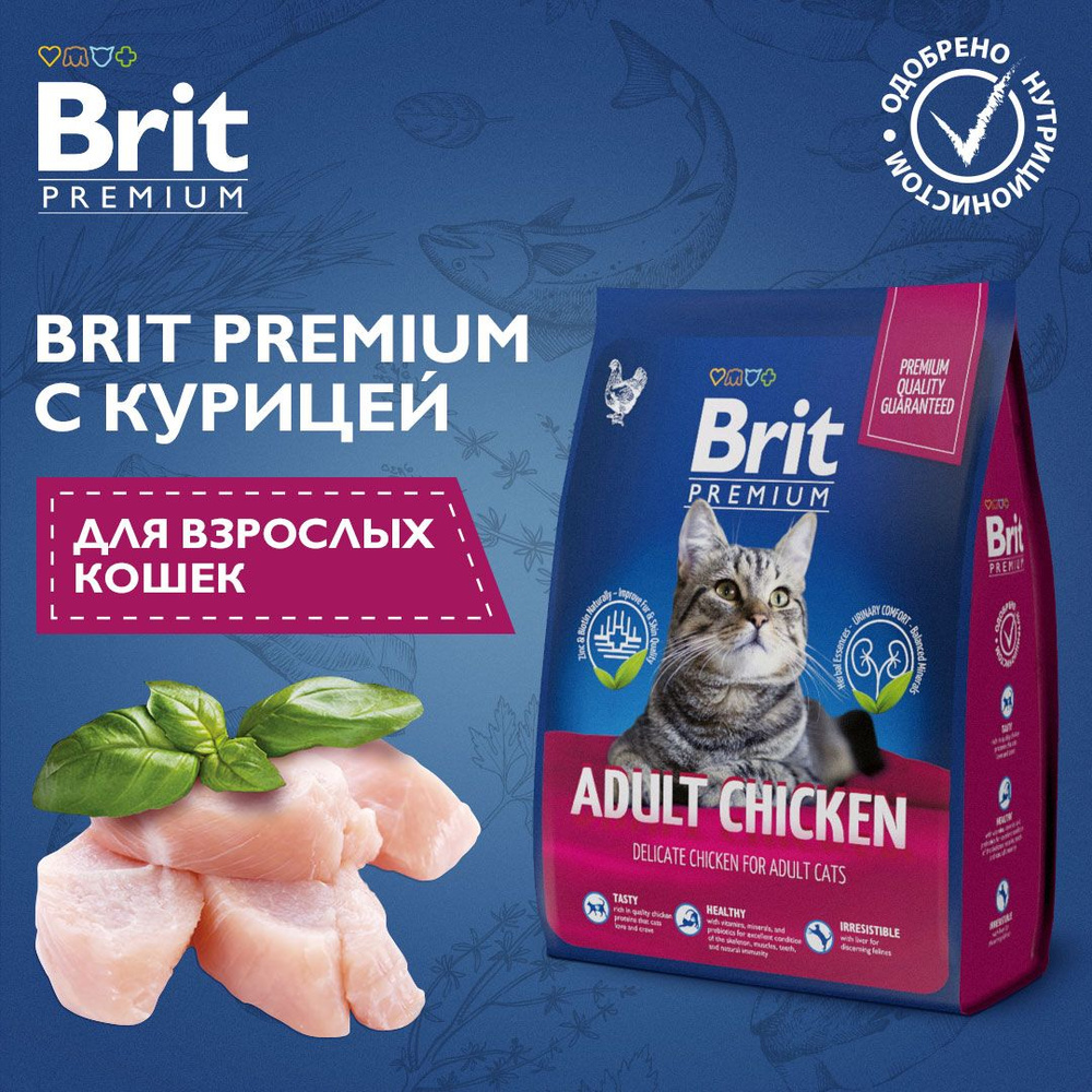 Сухой корм для кошек Brit Premium Cat Adult Chicken с курицей, 2 кг -  купить с доставкой по выгодным ценам в интернет-магазине OZON (489093945)