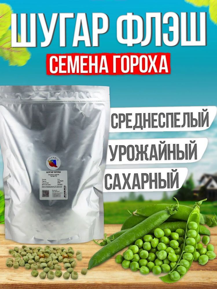 ШУГАР ФЛЭШ семена гороха 1 кг. (Syngenta / ALEXAGRO). Высокоурожайный, среднеранний сорт для открытого #1