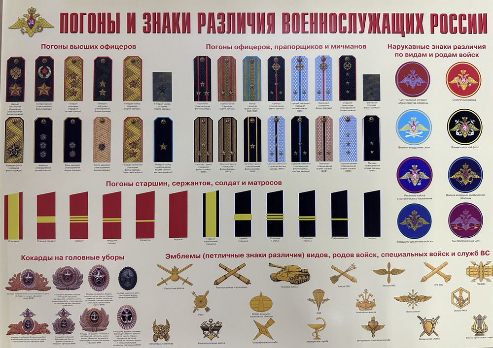 Плакат Погоны и знаки различия военнослужащих России А2 - купить с ...