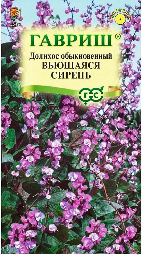 Долихос (Гиацинтовые бобы) Вьющаяся сирень, 1 пакет, семена 4 шт, Гавриш  #1