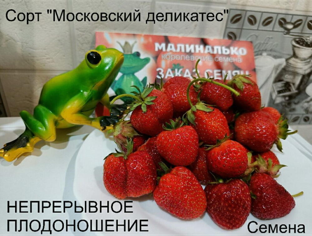 Семена #1