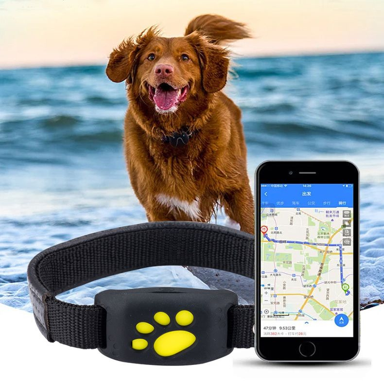 Ошейники для домашних животных, GPS локаторы для домашних животных ...