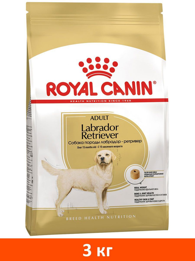 Labrador adult best sale royal canin