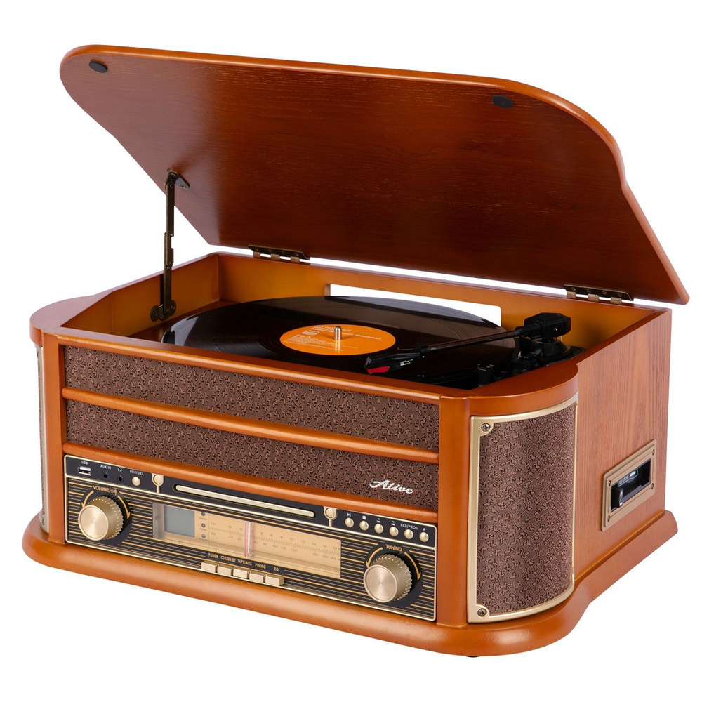 Виниловый проигрыватель Alive Audio OLDTIMER Wood с FM-приемником по низкой  цене с доставкой в интернет-магазине OZON (1095379625)