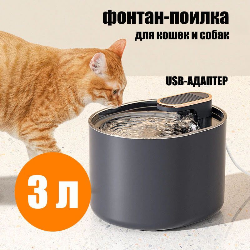 Питьевые фонтанчики для кошек: как сделать своими руками
