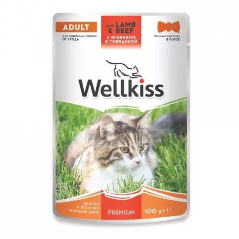 Влажный корм для кошек Wellkiss С ягненком и говядиной в соусе 100 г (2 шт)  #1