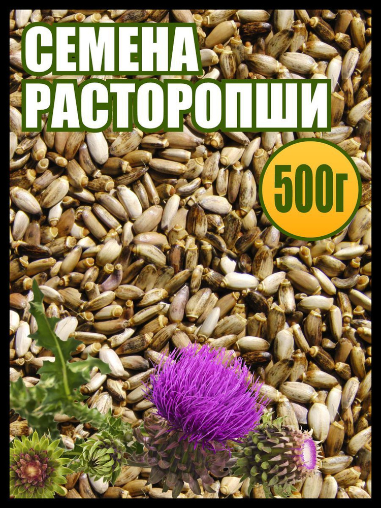 Расторопша семена пищевые 500 гр., здоровое питание, Семена  #1