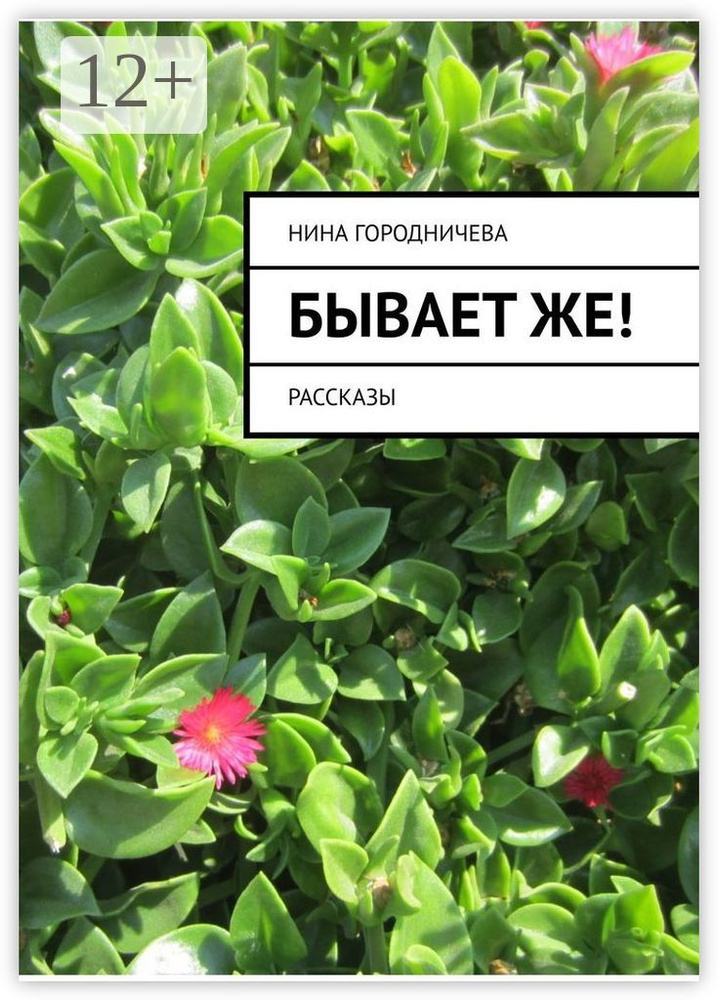 Бывает же. Рассказы | Городничева Нина #1
