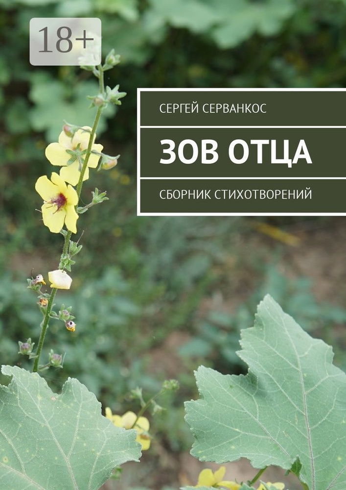 Зов Отца. Сборник стихотворений | Серванкос Сергей #1