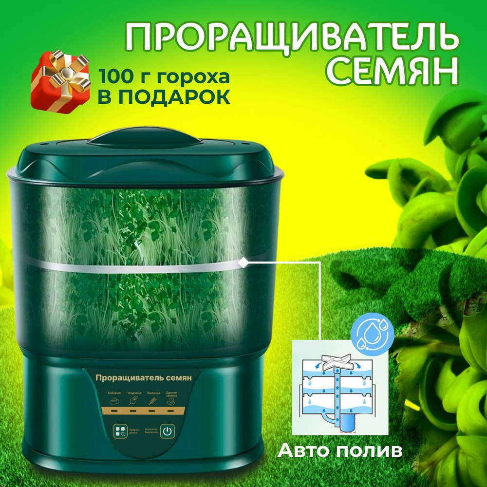  семян и микрозелени, контейнер для выращивания зелени .