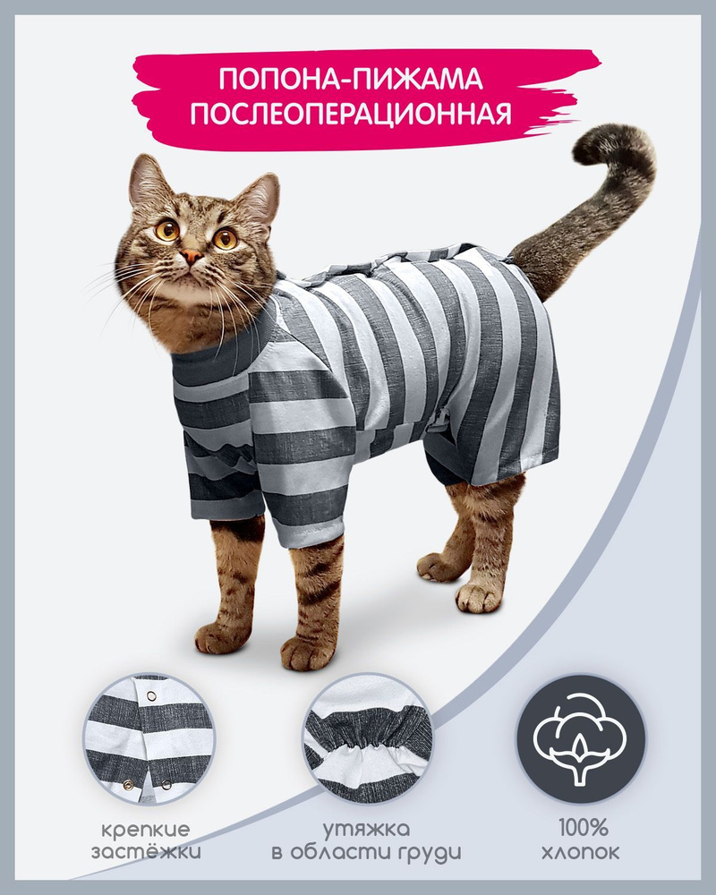 Попона для кошек послеоперационная Крош-1, Вес 4-6 кг., объем груди 42-47  см, длина спинки 29-31 см - купить с доставкой по выгодным ценам в  интернет-магазине OZON (1191877328)