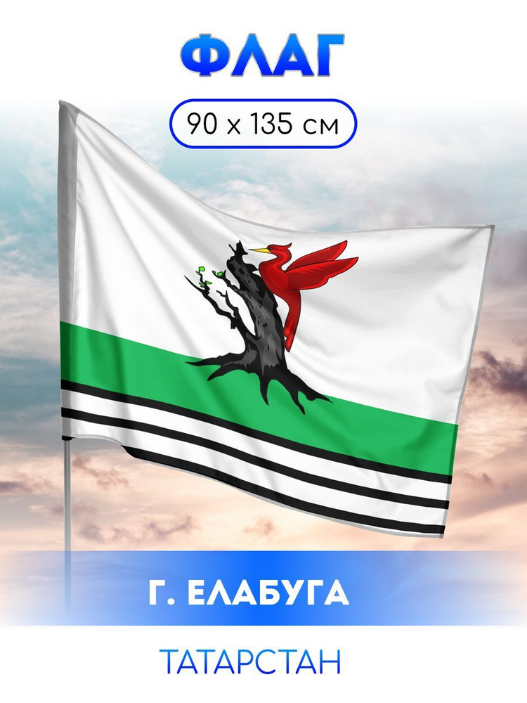 Флаг Елабуги #1