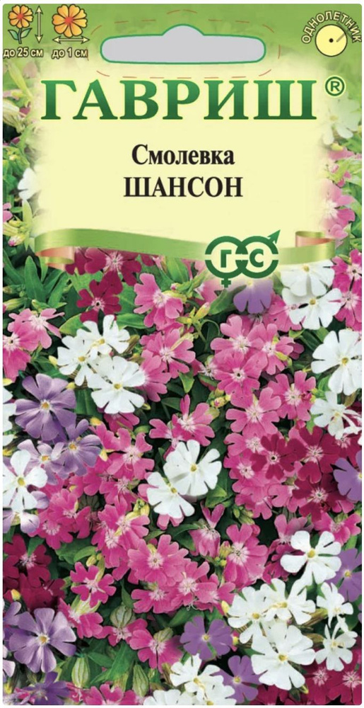 Смолевка Шансон, 1 пакет, семена 0,05 гр, Гавриш #1