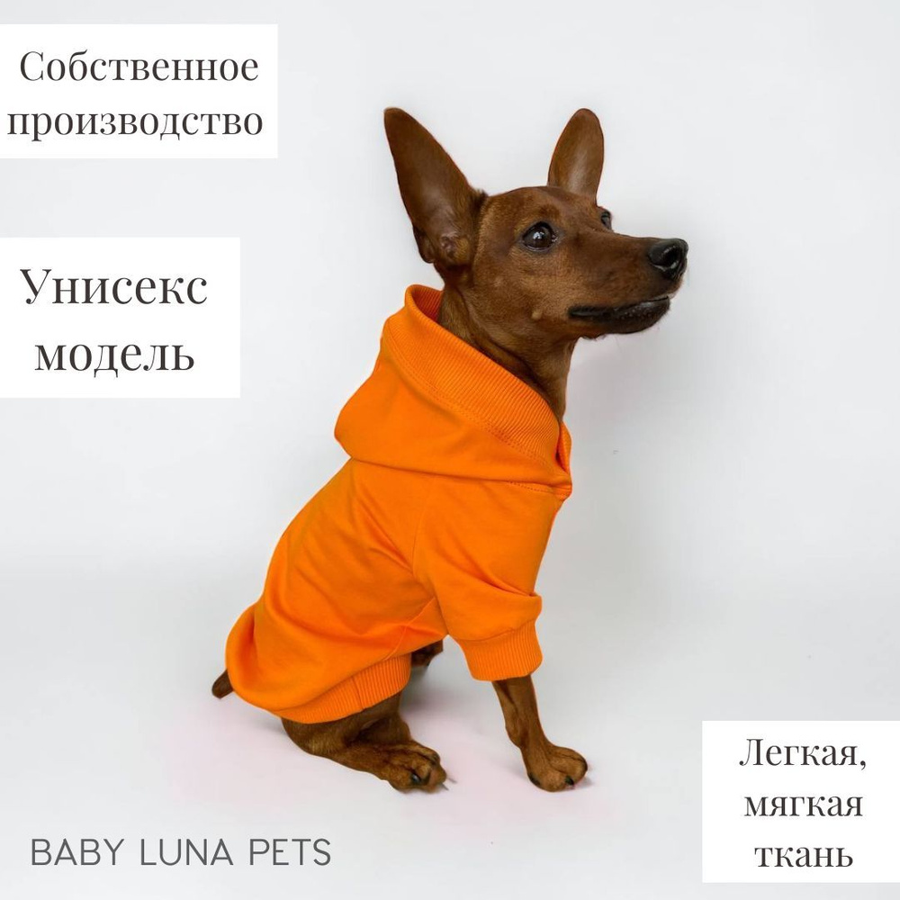 Худи для собак и кошек мелких и средних пород Baby Luna Pets #1