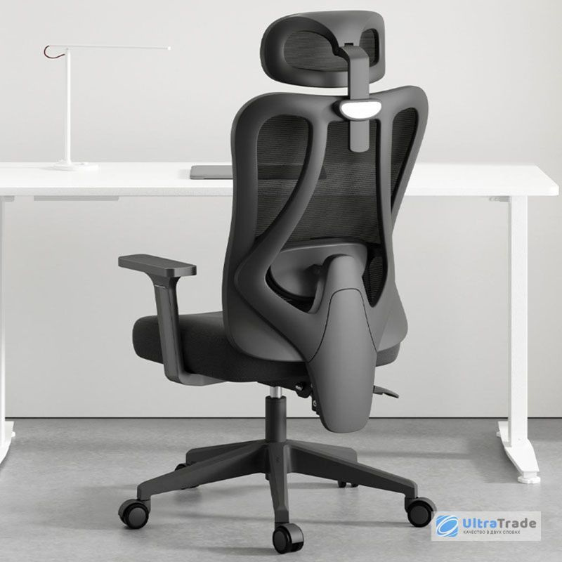 Xiaomi HBADA Ergonomic