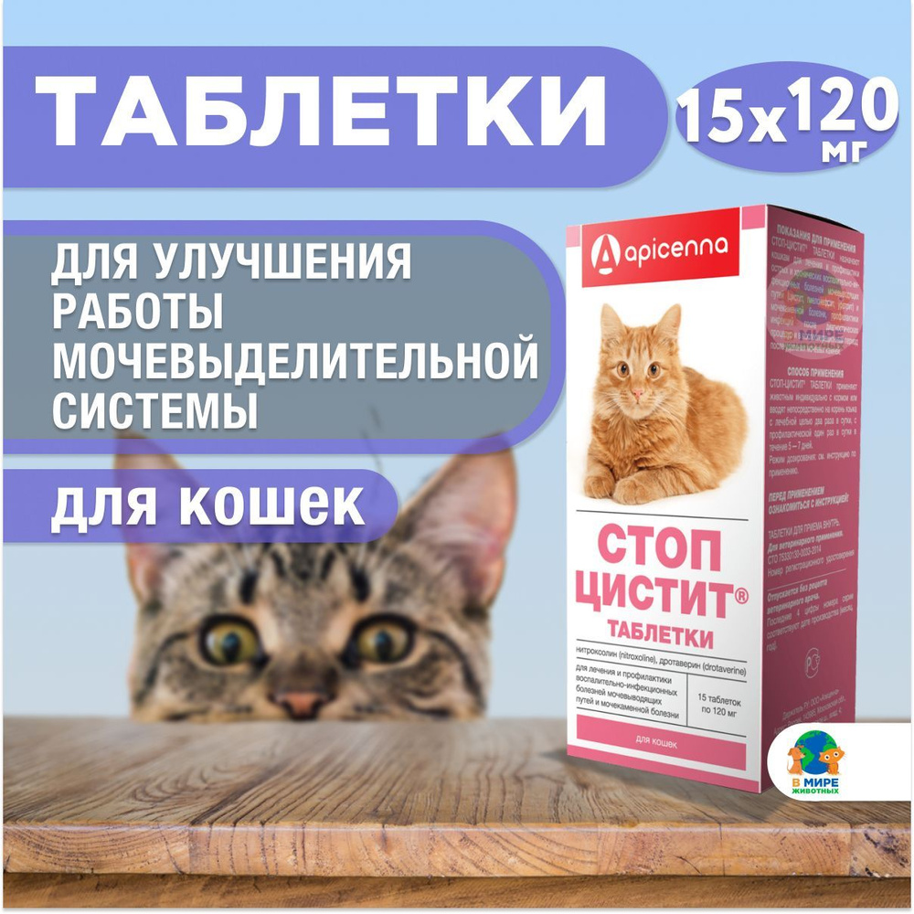 Стоп-цистит для кошек, таблетки, 15 шт., 120 мг - купить с доставкой по  выгодным ценам в интернет-магазине OZON (1252793720)