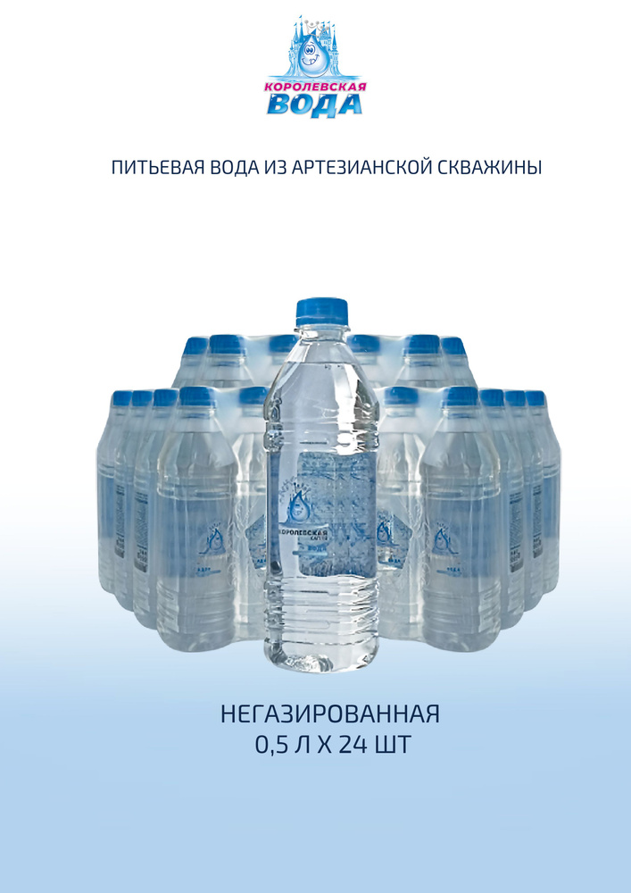 Королевская Вода Негазированная 330мл. 1шт #1