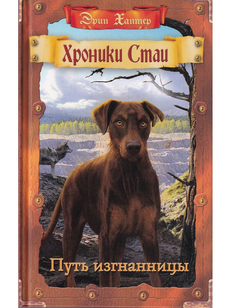 Путь изгнанницы. Хроники стаи | Хантер Эрин - купить с доставкой по ...
