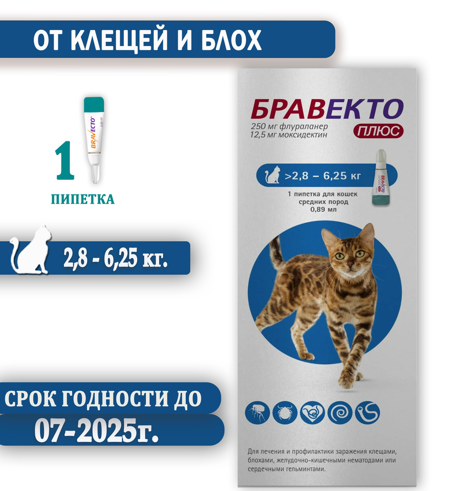 Бравекто капли для кошек весом от 2,8 до 6,25 кг против внутренних и  внешних паразитов (1 пипетка) - купить с доставкой по выгодным ценам в  интернет-магазине OZON (1243350727)